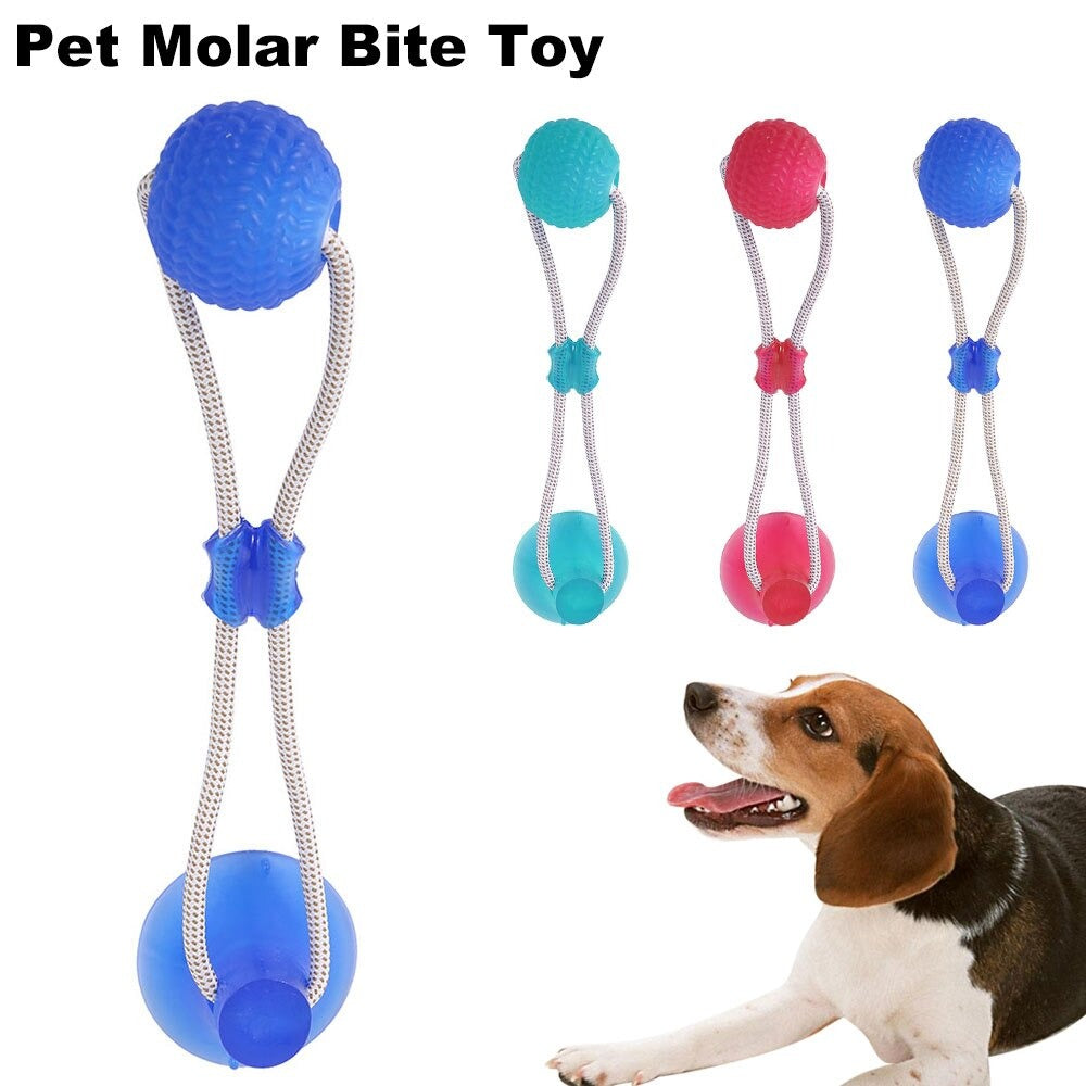 Suction Cup Tug Toy - Endless Entertainment for Your Furry Friend - MOIASUN