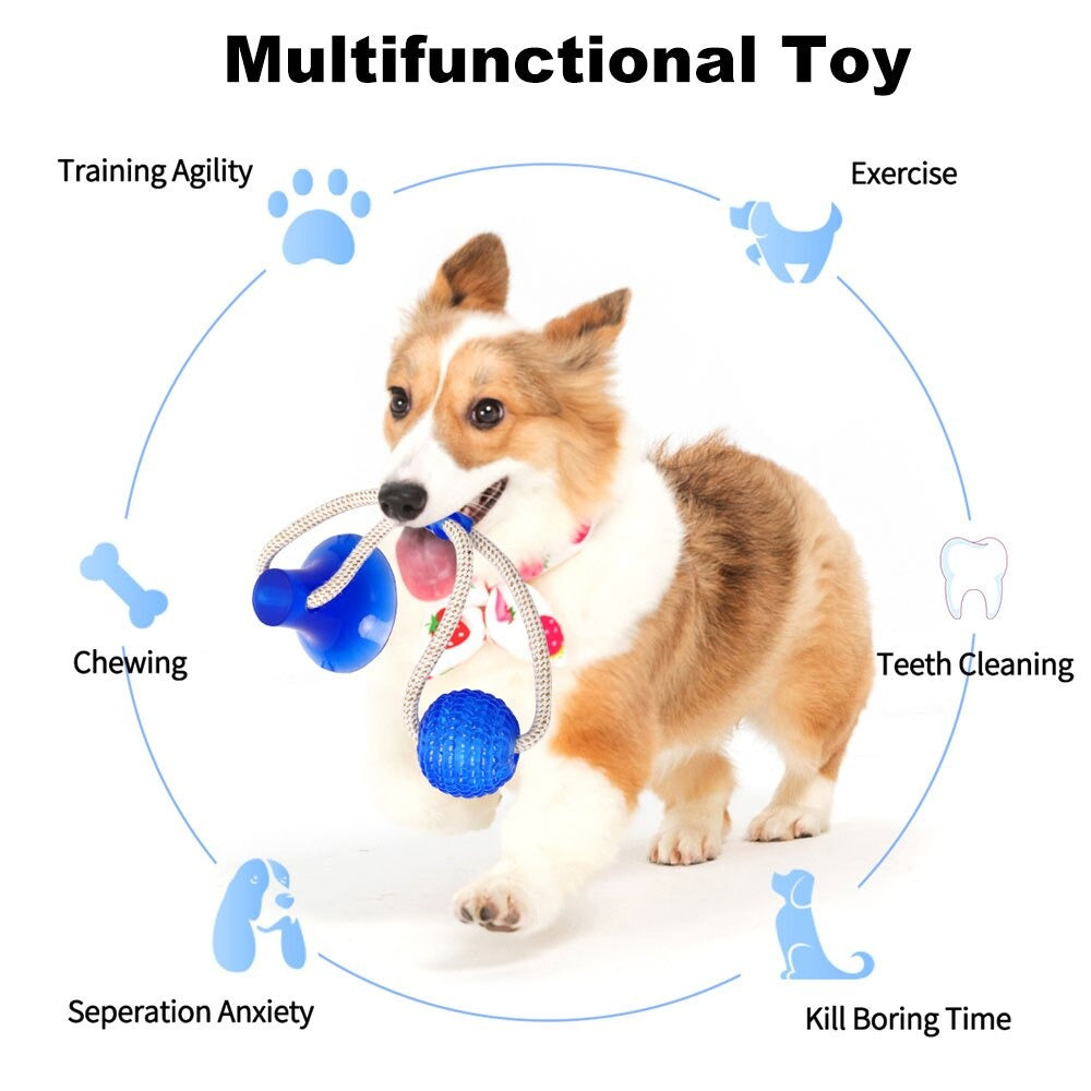 Suction Cup Tug Toy - Endless Entertainment for Your Furry Friend - MOIASUN