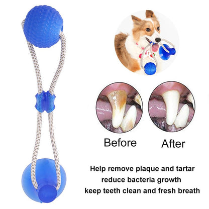 Suction Cup Tug Toy - Endless Entertainment for Your Furry Friend - MOIASUN